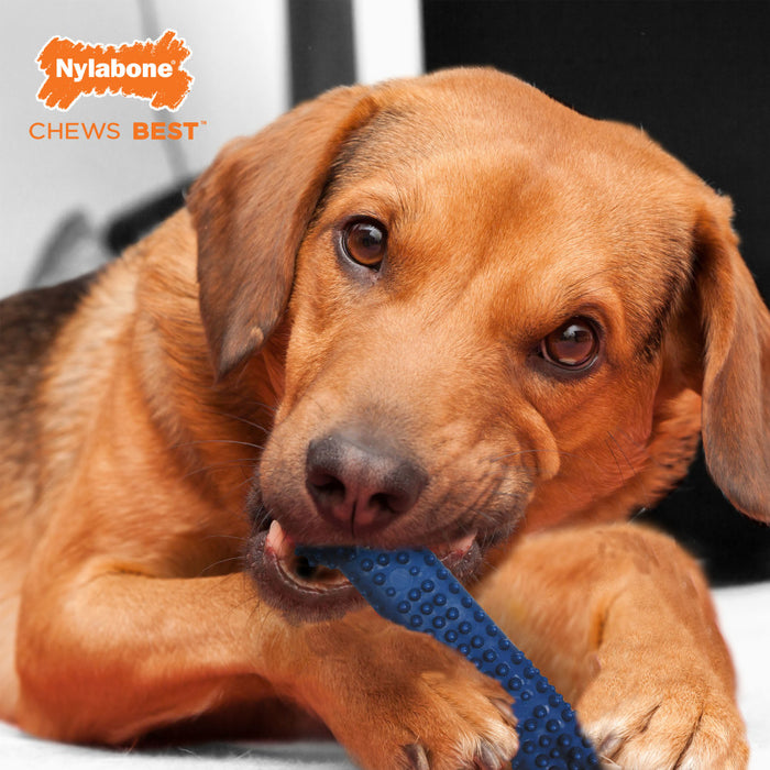 Nylabone Moderate Chew FlexiChew Dental Chew Toy 1ea/Medium - Up To 35 lb