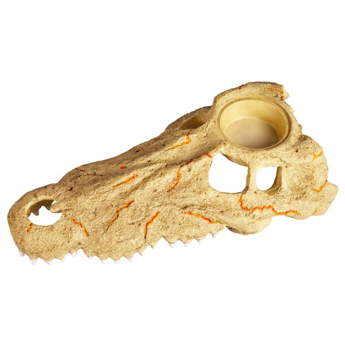 Zilla Rapid Sense Decor Large Crocodile Skull, 1ea/Large