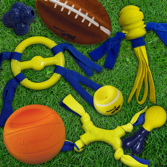 Nylabone Power Play Dog Football Gripz 1ea/Medium