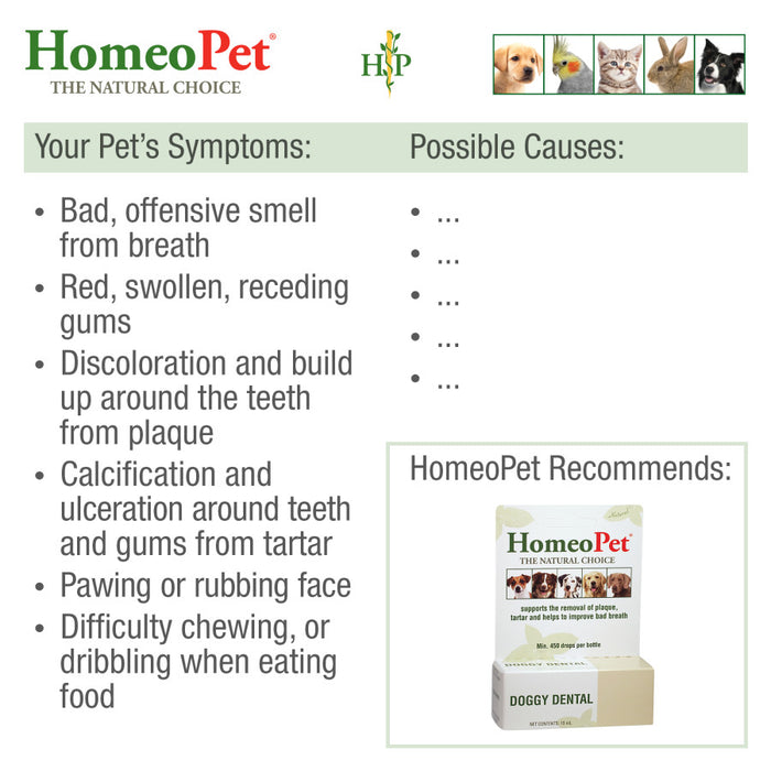 HomeoPet Doggy Dental for Plaque and Tartar Removal 1ea/15 ml