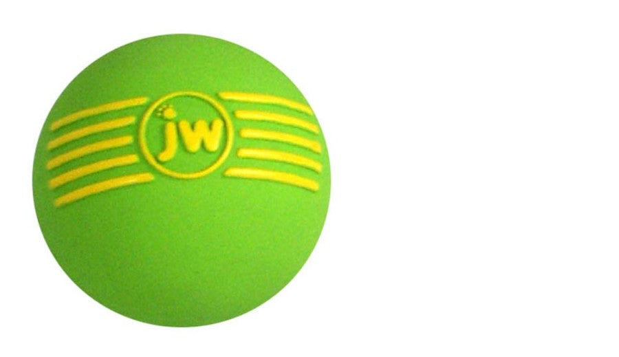 JW Pet iSqueak Ball Dog Toy Assorted, 1ea/SM