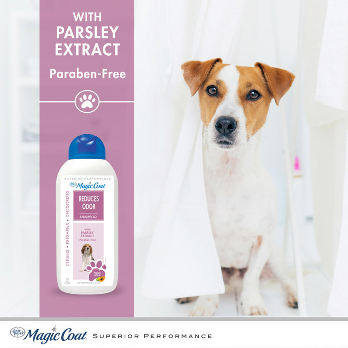 Four Paws Magic Coat Reduces Odor Dog Shampoo Reduces Odor Dog Shampoo, 1ea/16 oz (1 ct)